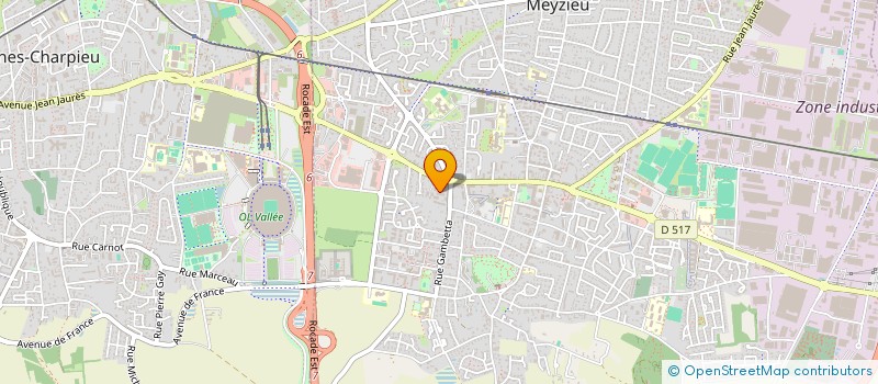 localisation de l'entreprise EST MULTITRAVAUX PRO à MEYZIEU