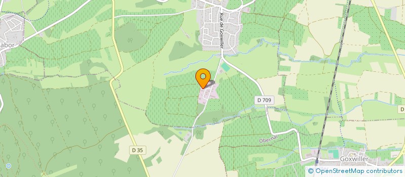 localisation de l'entreprise EST NETTOYAGE  BERNARDSWILLER