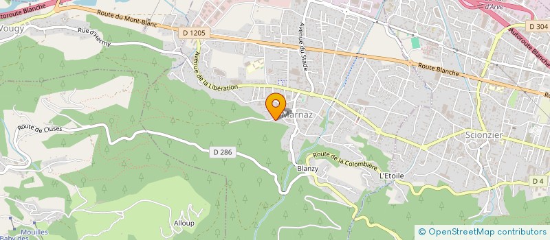 localisation de l'entreprise ESTEVES PERE ET FILS à MARNAZ