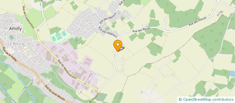 localisation de l'entreprise ETABLISSEMENT BRASI à AMILLY