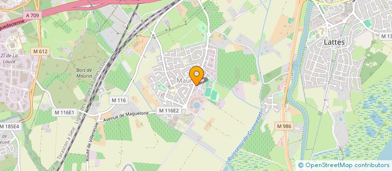 localisation de l'entreprise ETABLISSEMENT PALENCIA à LATTES