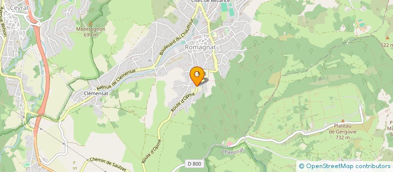 localisation de l'entreprise ETABLISSEMENT REGIONAL D'ENSEIGNEMENT ADAPTE DE LATTRE DE TASSIGNY  ROMAGNAT