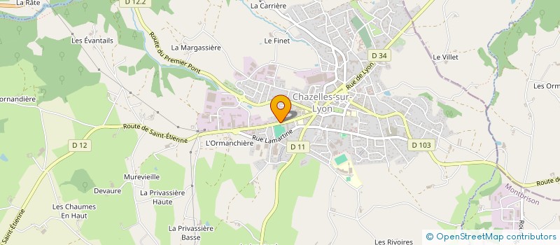 localisation de l'entreprise ETABLISSEMENTS BRUYERE à CHAZELLES-SUR-LYON