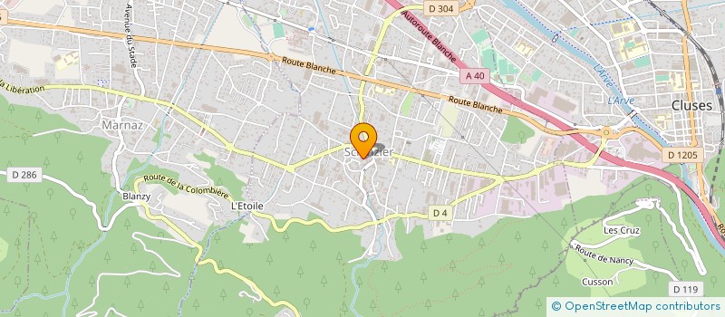 localisation de l'entreprise ETABLISSEMENTS JEAN ET LOUIS RECH à SCIONZIER