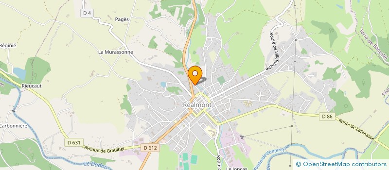localisation de l'entreprise ETABLISSEMENTS REY à REALMONT