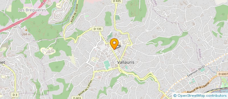 localisation de l'entreprise ETABLISSEMENTS RICCI à VALLAURIS