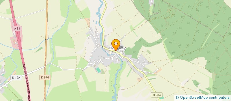 localisation de l'entreprise ETOILE SPORTIVE DE BICQUELEY  BICQUELEY