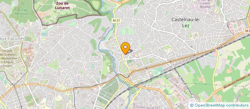 localisation de l'entreprise ETR 99 à CASTELNAU-LE-LEZ