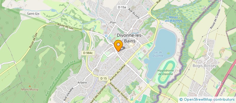 localisation de l'entreprise ETS A. RAYOT ET CIE à DIVONNE-LES-BAINS