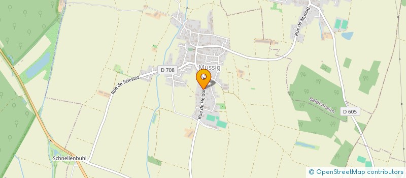 localisation de l'entreprise ETS SCHNEIDER SARL à MUSSIG
