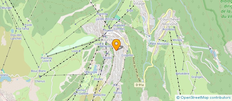 localisation de l'entreprise EUGENIE IMMOBILIER à COURCHEVEL