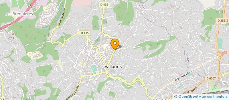 localisation de l'entreprise EURL AU CHATEAU VAPOTEUR à VALLAURIS