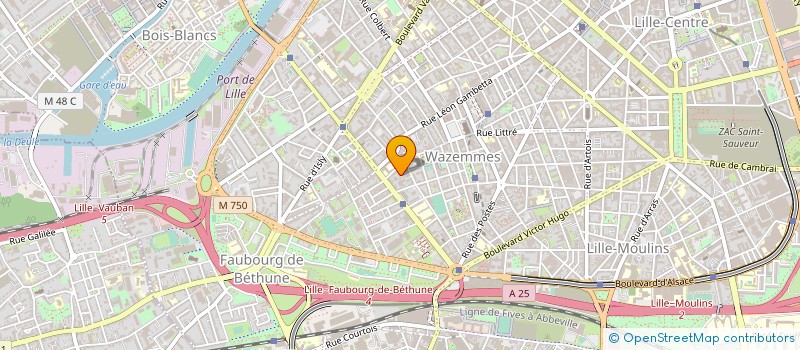 localisation de l'entreprise EURL AUDIO VISION à LILLE