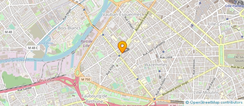 localisation de l'entreprise EURL BENOIT LECOEUVRE à LILLE