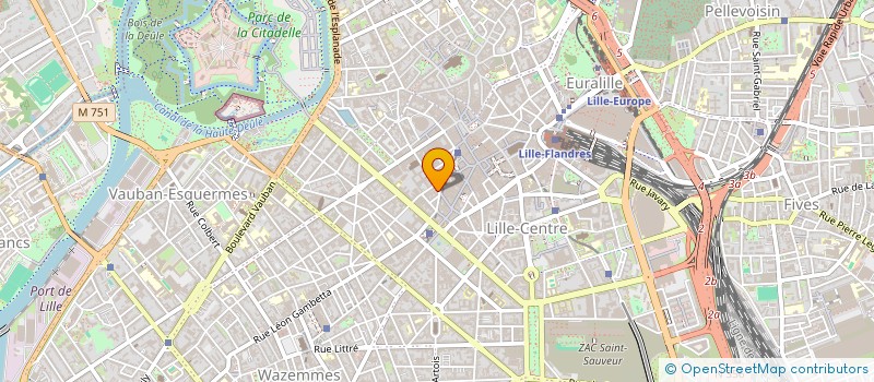 localisation de l'entreprise EURL BERGER INT CONSULTING à LILLE