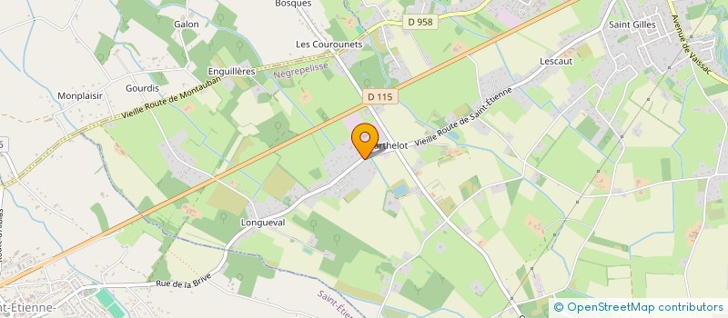 localisation de l'entreprise EURL BORNANCIN DIDIER à NEGREPELISSE