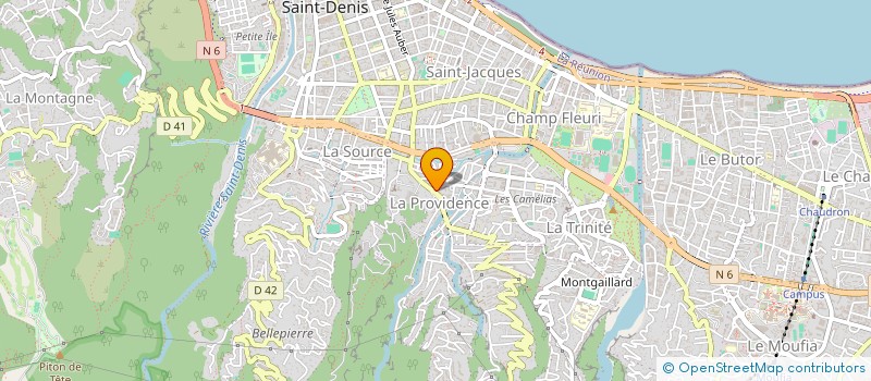 localisation de l'entreprise EURL CHANE SANE à SAINT-DENIS
