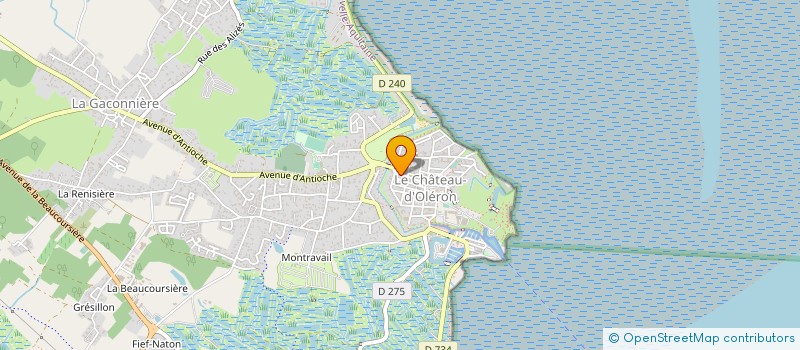 localisation de l'entreprise EURL CHINTZ  LE CHATEAU-D'OLERON