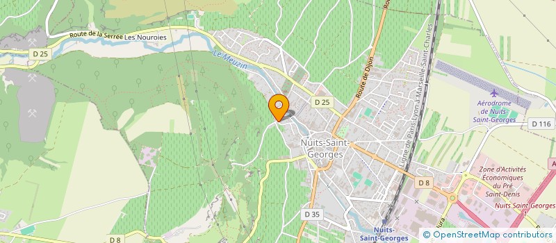 localisation de l'entreprise EURL DAMIEN LANGLET à NUITS-SAINT-GEORGES