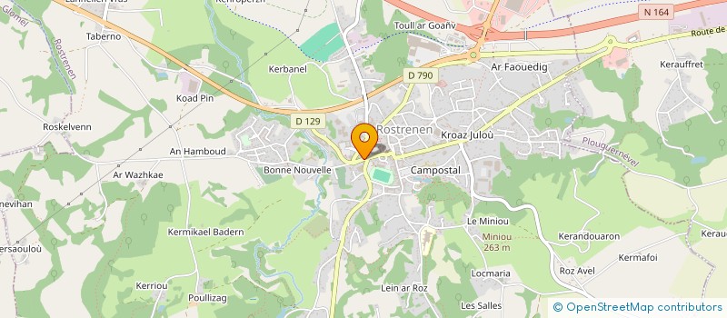 localisation de l'entreprise EURL DANY FLEURS à ROSTRENEN