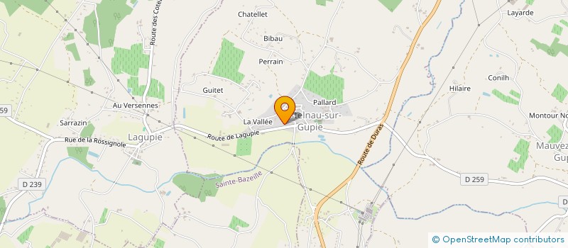localisation de l'entreprise EURL DARNIS PATRICK à CASTELNAU-SUR-GUPIE