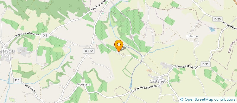 localisation de l'entreprise EURL DAVID MICHAUT  RABASTENS