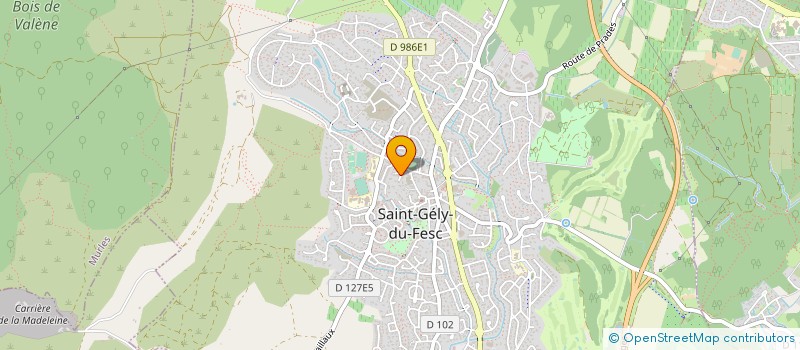 localisation de l'entreprise EURL DELICES ET CHOCOLATS  SAINT-CLEMENT-DE-RIVIERE