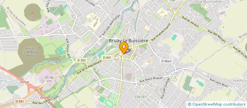 localisation de l'entreprise EURL FESTIN D'ASIE à BRUAY-LA-BUISSIERE