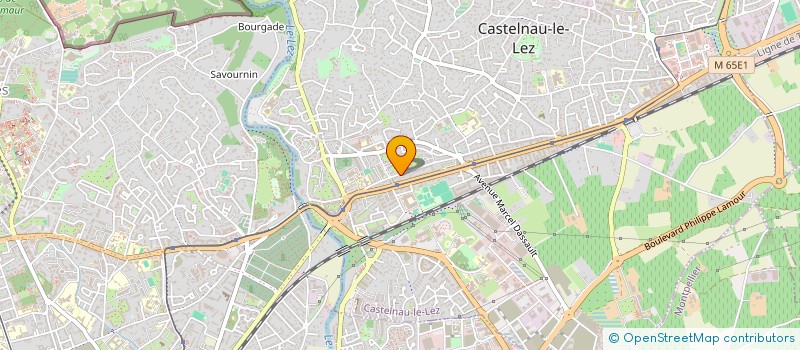 localisation de l'entreprise EURL GARAGE DELERIS à CASTELNAU-LE-LEZ