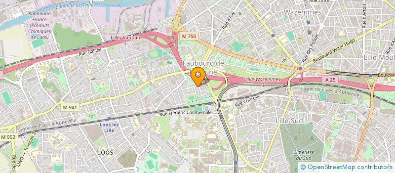 localisation de l'entreprise EURL GODEFROOD  LILLE