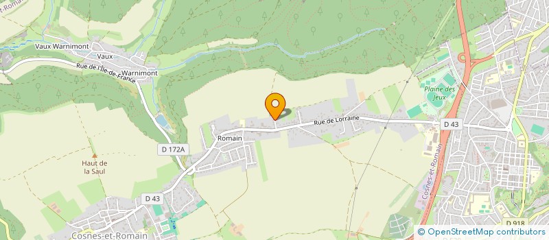 localisation de l'entreprise EURL HOME ELEC SOLUTIONS  COSNES-ET-ROMAIN