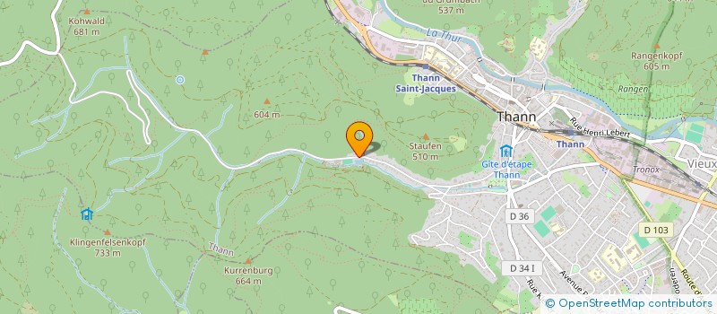 localisation de l'entreprise EURL HOTEL RESTAURANT AU FLORIDOR  THANN