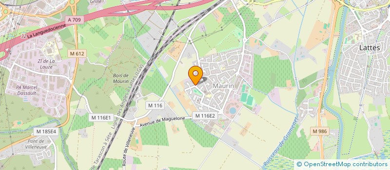 localisation de l'entreprise EURL ICONSEILS à LATTES