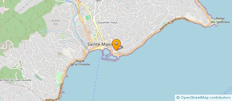 localisation de l'entreprise EURL JOEL à SAINTE-MAXIME