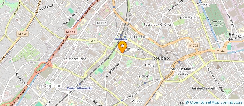 localisation de l'entreprise EURL LA PERLE RARE  ROUBAIX