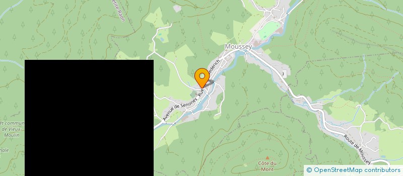 localisation de l'entreprise EURL LE TOURNE BILLE  MOUSSEY