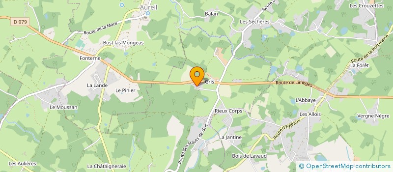 localisation de l'entreprise EURL MG 87 à FEYTIAT