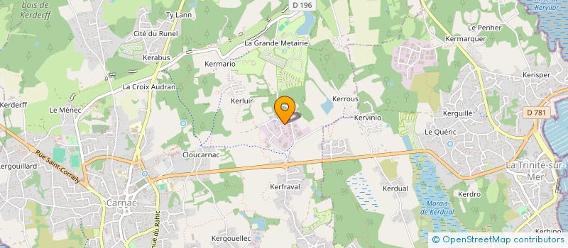localisation de l'entreprise EURL NETTOYAGE SERVICE à CARNAC