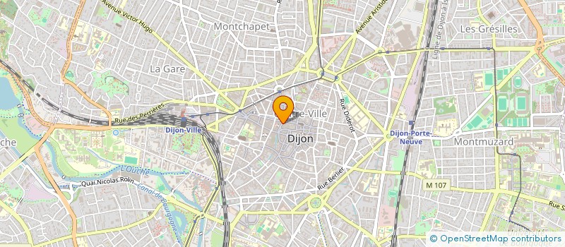 localisation de l'entreprise EURL OPTIQUE MURET à DIJON