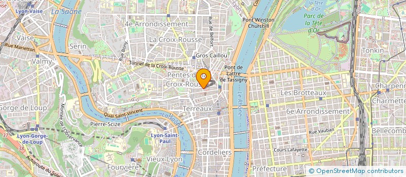 localisation de l'entreprise EURL PREMIUM NEGOCE à LYON