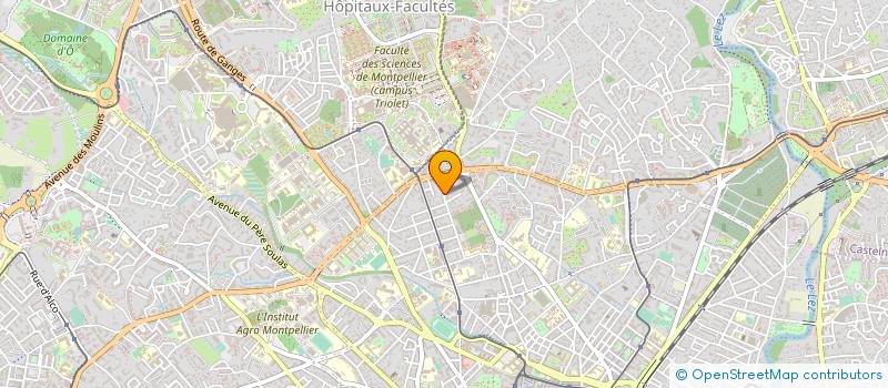 localisation de l'entreprise EURL PUYAL à MONTPELLIER