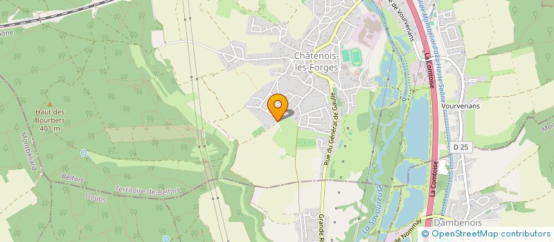 localisation de l'entreprise EURL RILLIOT YANNIC'H à CHATENOIS-LES-FORGES