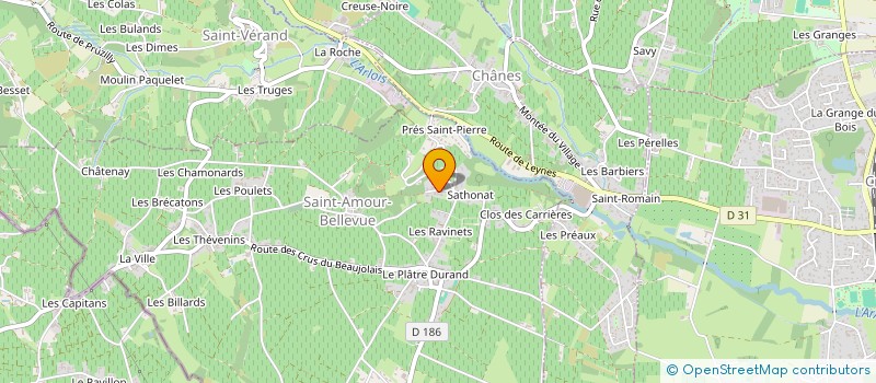 localisation de l'entreprise EURL X-TREME SERVICES à SAINT-AMOUR-BELLEVUE