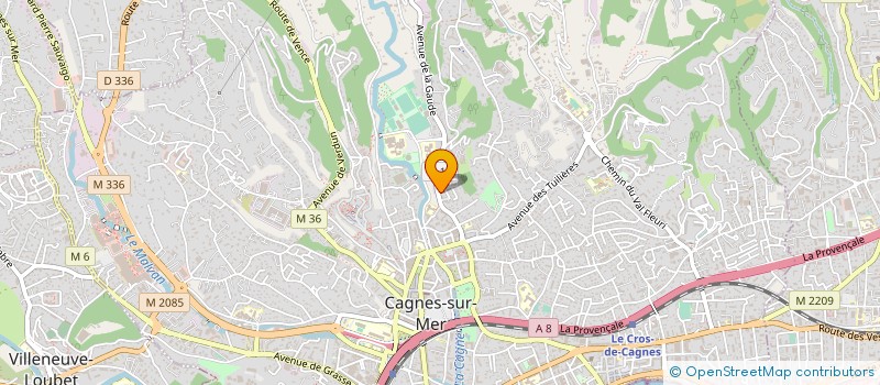 localisation de l'entreprise EURO FINANCE DEVELOPPEMENT à CAGNES-SUR-MER