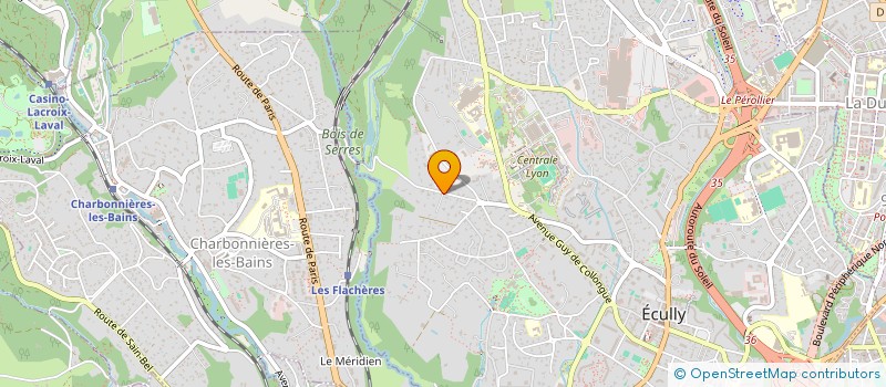 localisation de l'entreprise EURO-LASER-MEDICAL  ECULLY