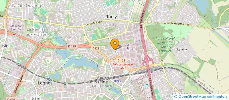 localisation de l'entreprise EURO TAXI  TORCY