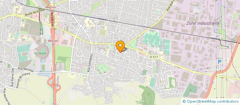 localisation de l'entreprise EURO TAXIS SERVICES à MEYZIEU