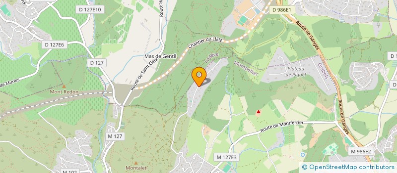 localisation de l'entreprise EUROMASSANE  GRABELS