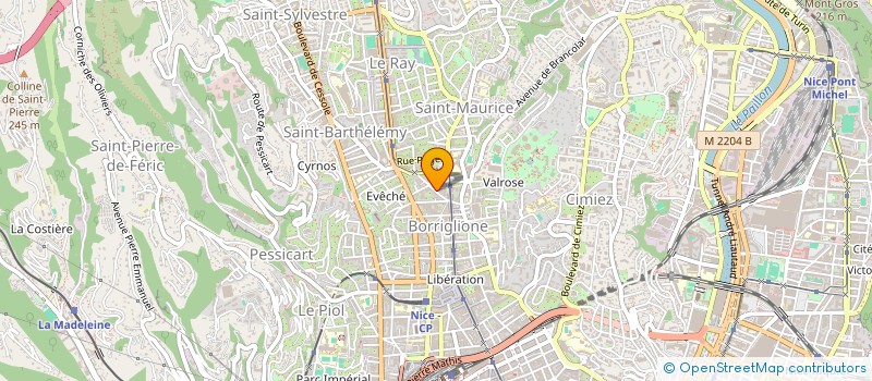 localisation de l'entreprise EURONEX CONSULTING NICE  NICE