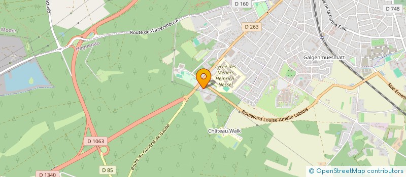 localisation de l'entreprise EVERSWIM  HAGUENAU